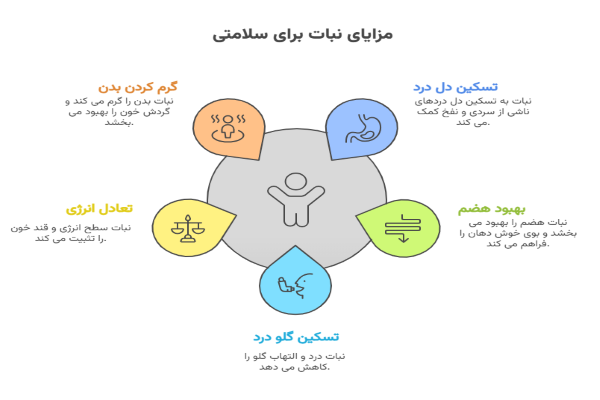 خاصیت درمانی نبات برای سلامتی