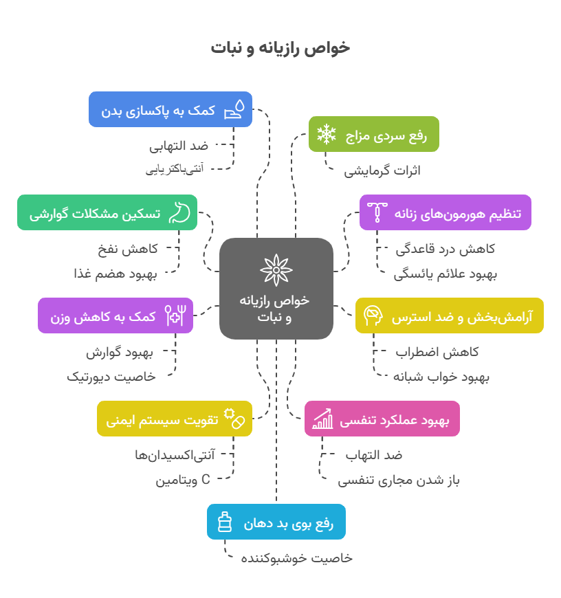 آشنایی با خواص دمنوش رازیانه نبات