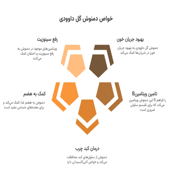 خواص دمنوش گل داوودی با نبات