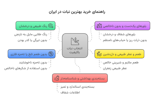 راهنمای خرید بهترین نبات ایران