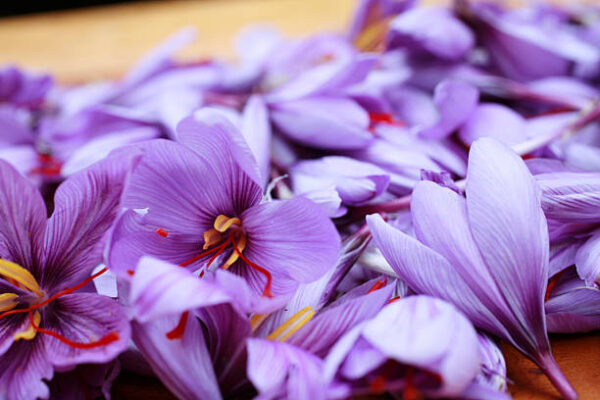 فواید زعفران برای زنان