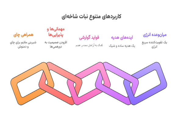 کاربردهای نبات شاخه ای یا شاخه نبات