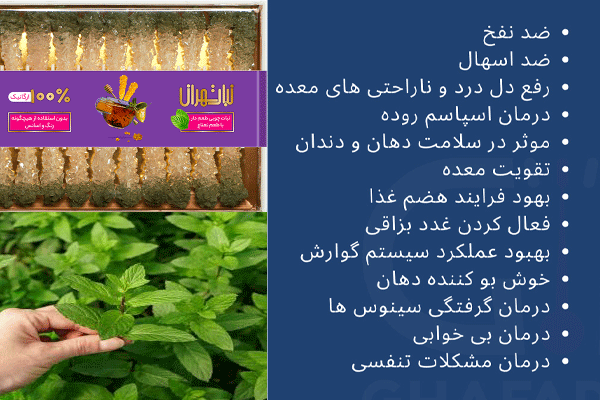 خواص نبات نعنایی تولید نبات تهران