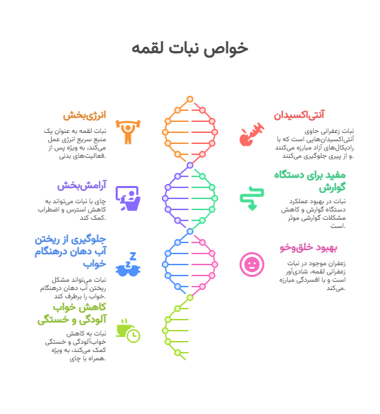 خواص نبات لقمه