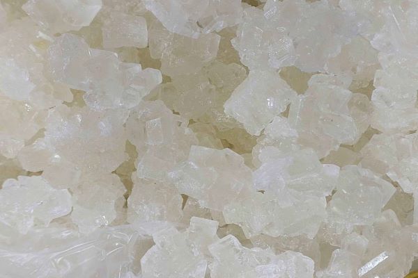 نبات شاخه ای سفید گونه ای پرکاربرد از نبات است