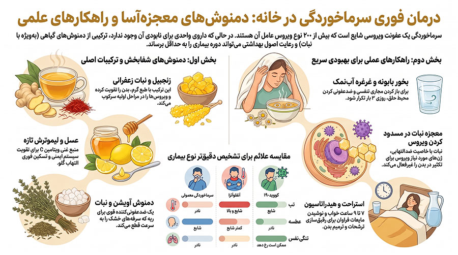 برای درمان سرماخوردگی چی بخوریم؟