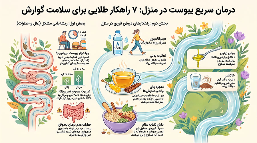 برای درمان سریع یبوست چی بخوریم؟