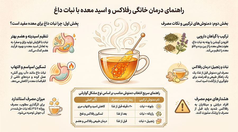 نبات داغ برای اسید معده