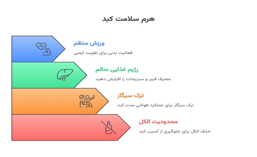 سلامتی کبد را چگونه تامین نماییم؟