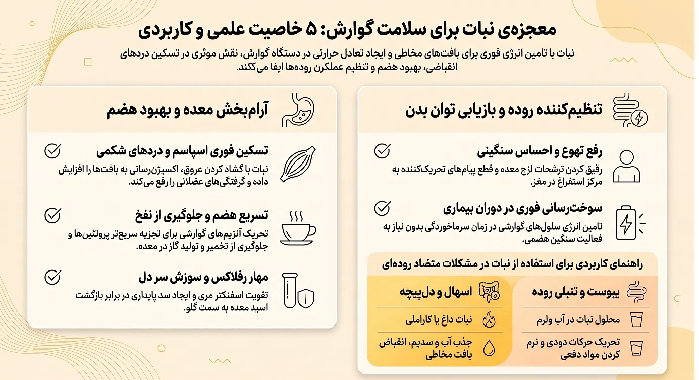 ۵ خاصیت نبات برای بهبود عملکرد معده و روده