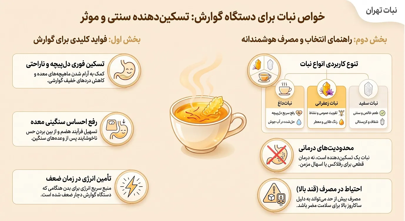 خواص نبات برای دستگاه گوارش